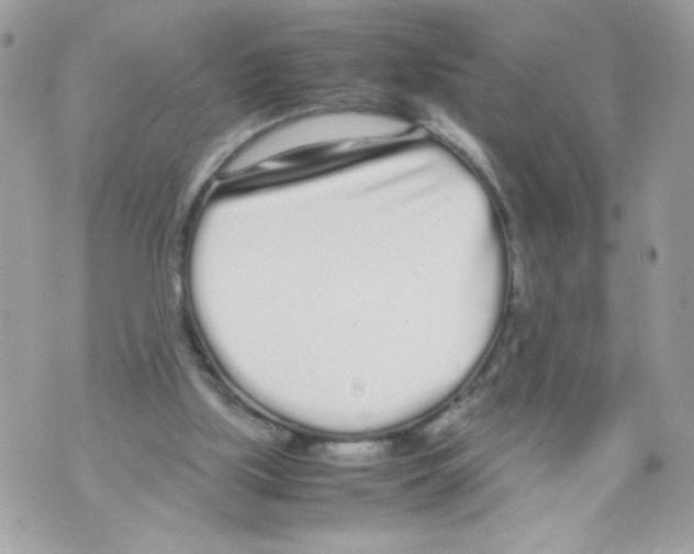 X0000070380059200607072204