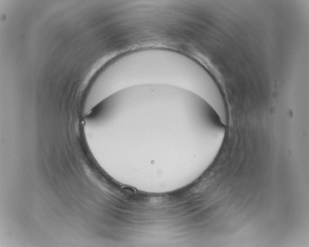 X0000070380060200607072204