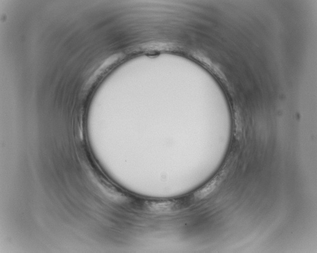 X0000070380062200607072204