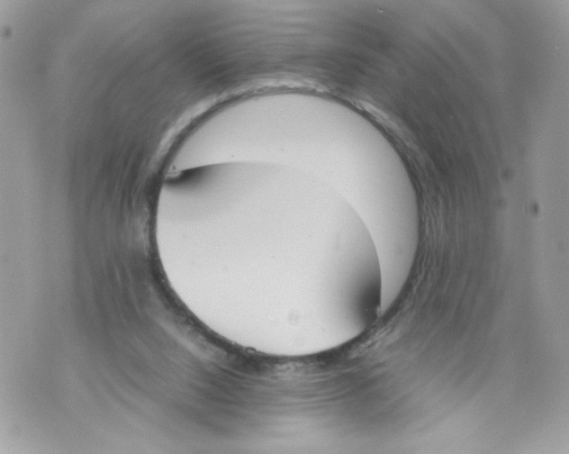 X0000070380064200607072204