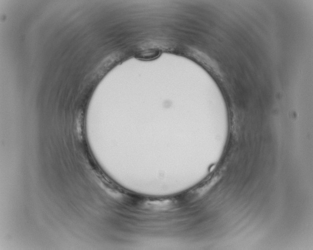 X0000070380065200607072204