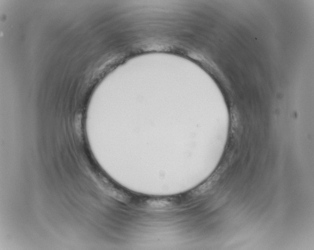 X0000070380066200607072204