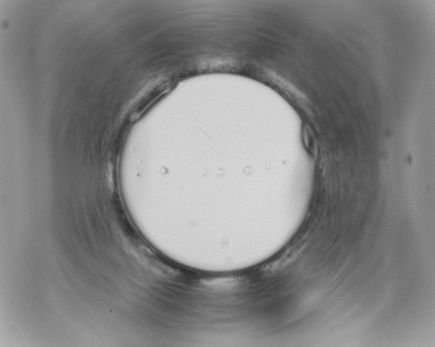 X0000070380067200607072204