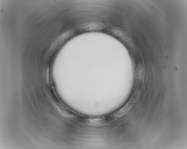 X0000070380070200607072204