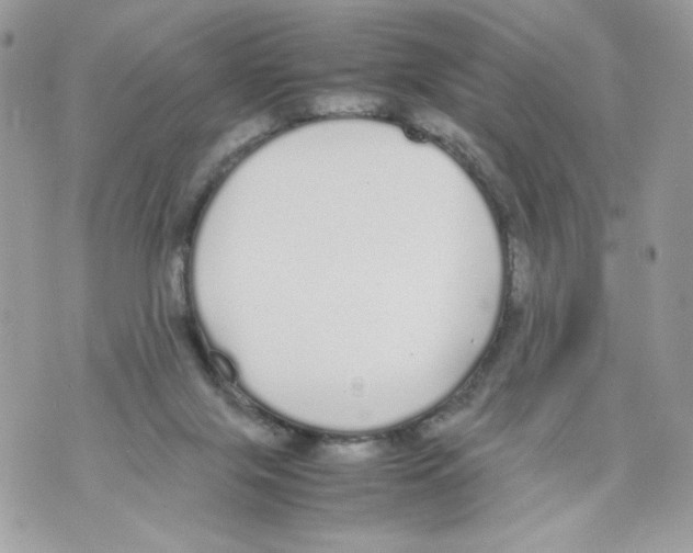 X0000070380071200607072204