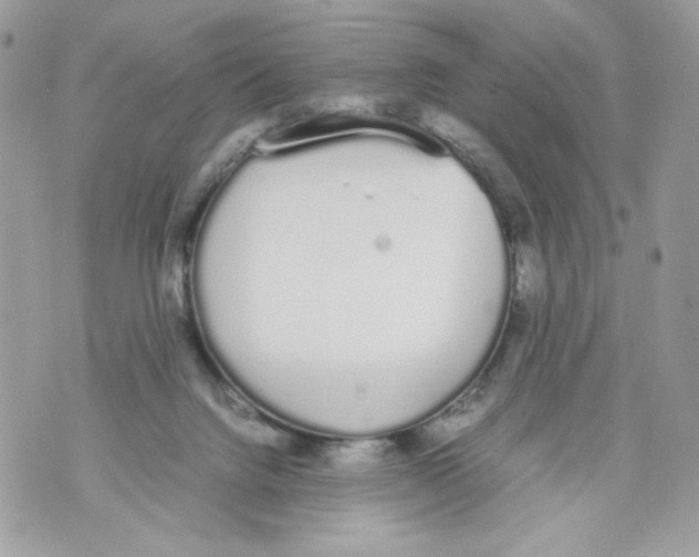 X0000070380072200607072204