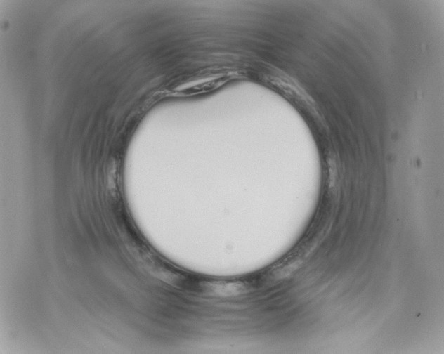 X0000070380073200607072204