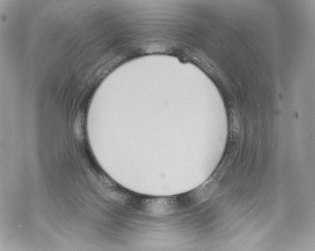 X0000070380074200607072204