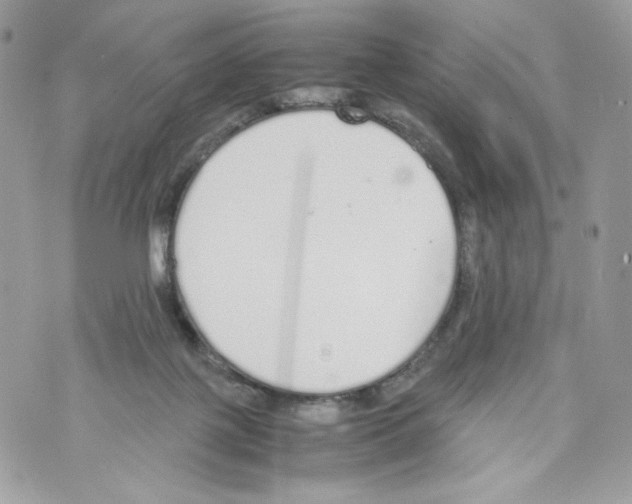 X0000070380075200607072204