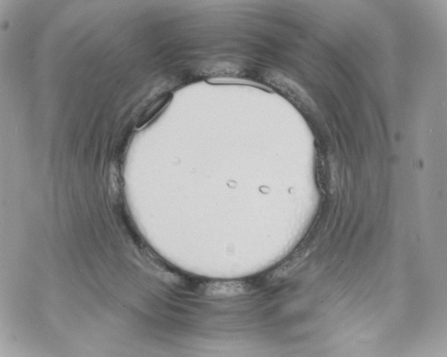 X0000070380077200607072204