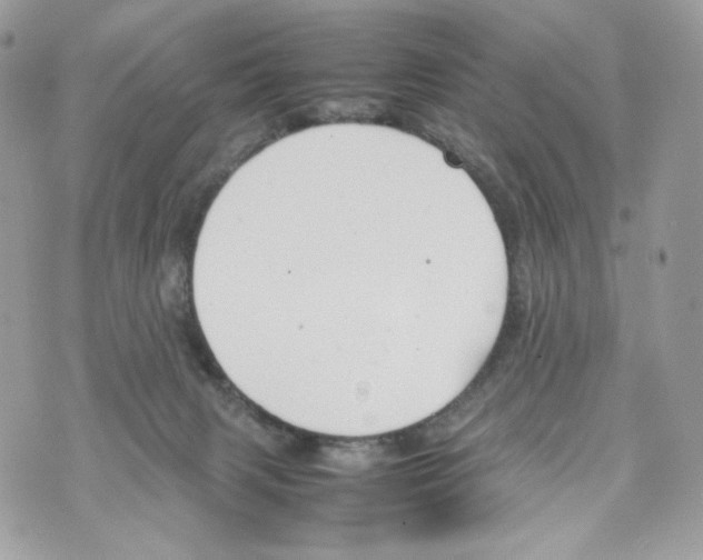 X0000070380079200607072204