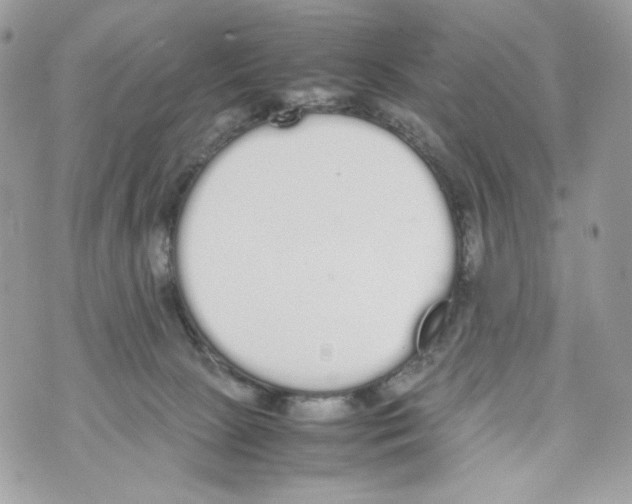 X0000070380081200607072204