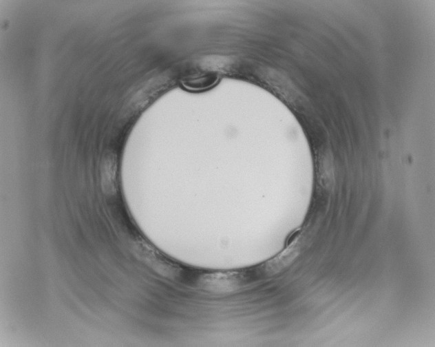 X0000070380082200607072205