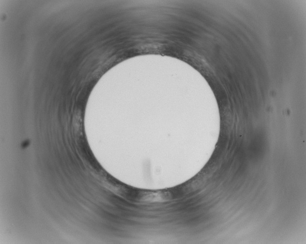 X0000070380083200607072205