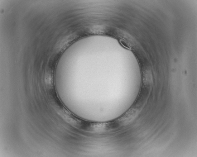 X0000070380084200607072205