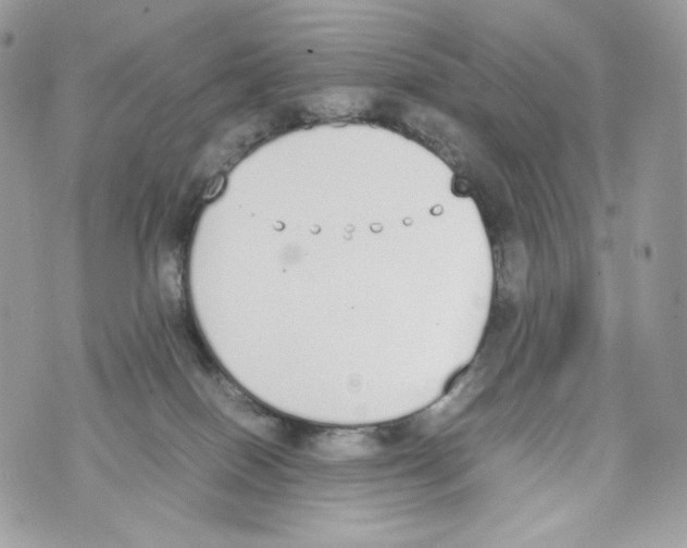 X0000070380086200607072205