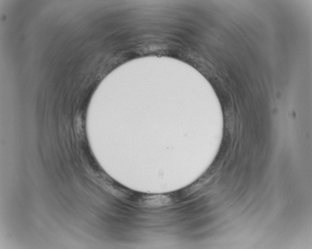 X0000070380087200607072205