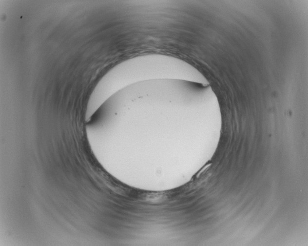 X0000070380088200607072205