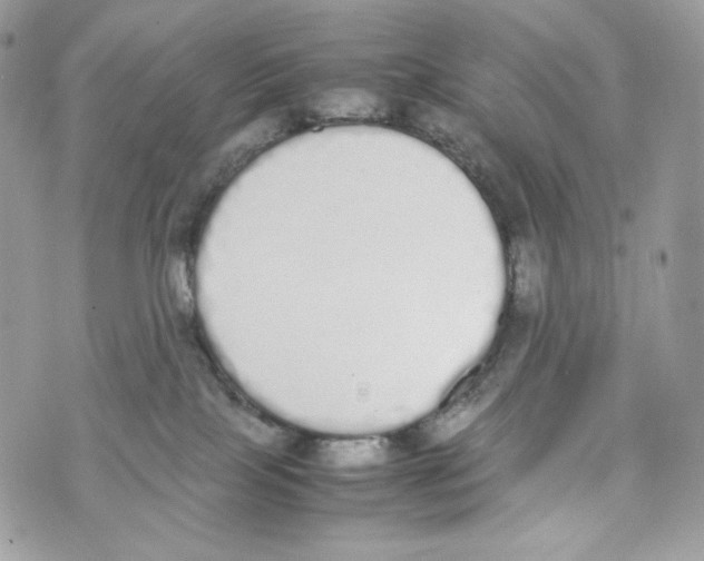 X0000070380089200607072205