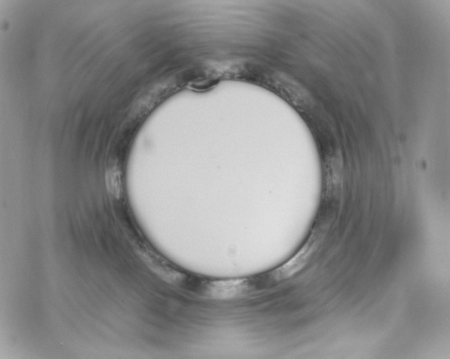 X0000070380090200607072205