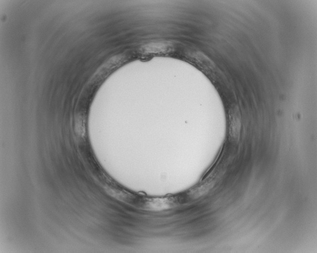 X0000070380091200607072205