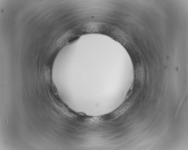 X0000070380092200607072205