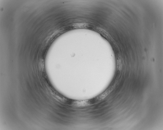 X0000070380093200607072205