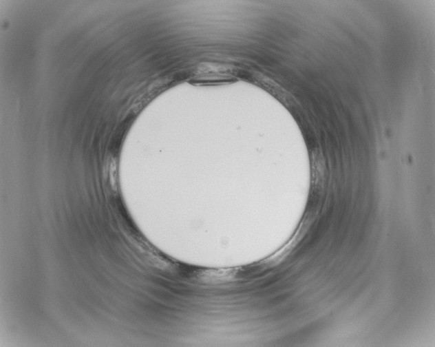 X0000070380094200607072205