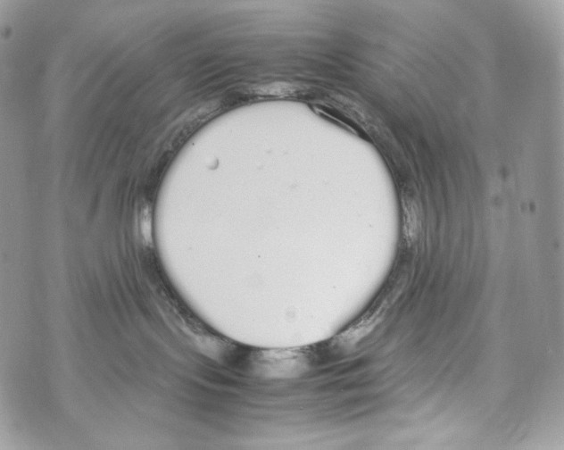 X0000070380095200607072205