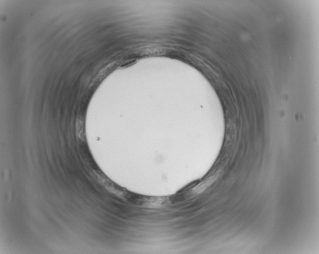 X0000070380096200607072205