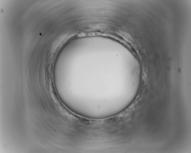 X0000070380097200607072204