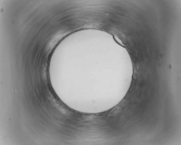 X0000070380098200607072204