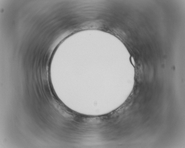 X0000070380100200607072204