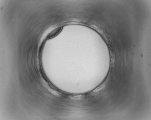 X0000070380102200607072204