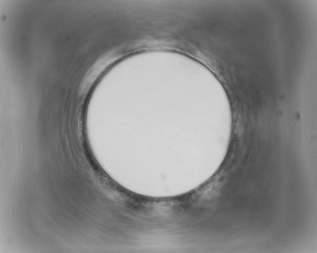 X0000070380103200607072204