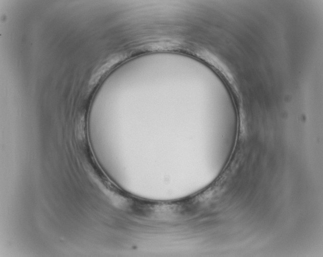 X0000070380105200607072204