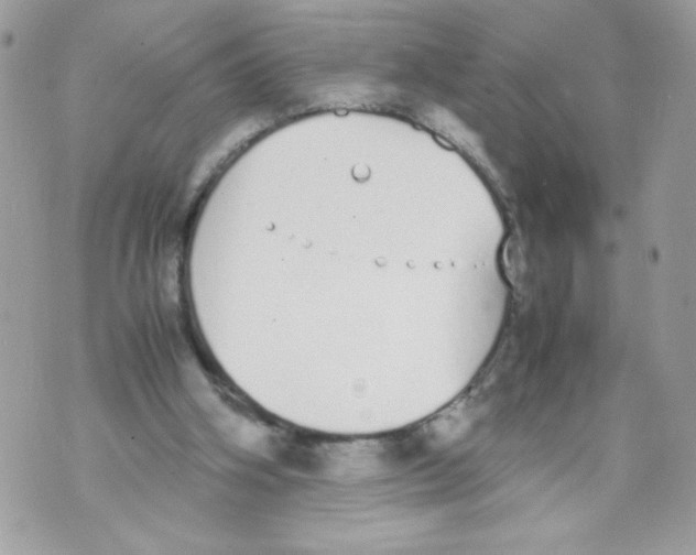 X0000070380106200607072204