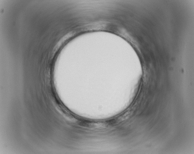 X0000070380107200607072204