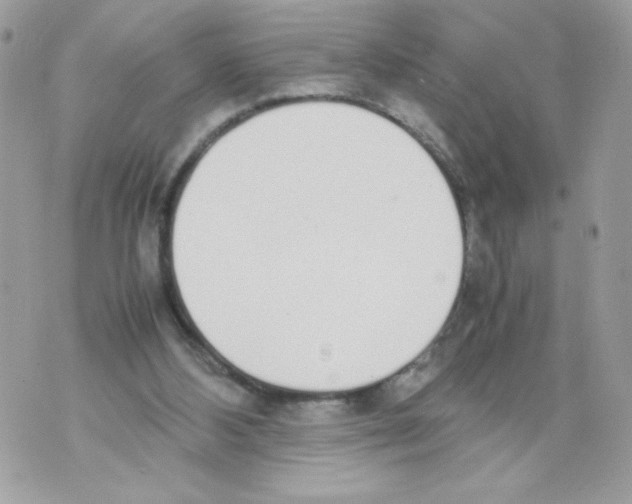 X0000070380108200607072204