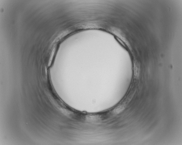 X0000070380109200607072204