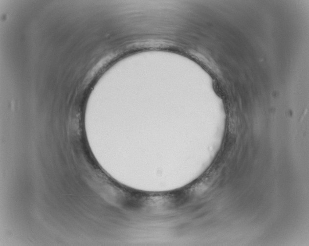 X0000070380111200607072204