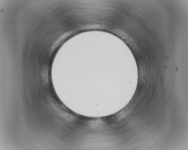 X0000070380112200607072204