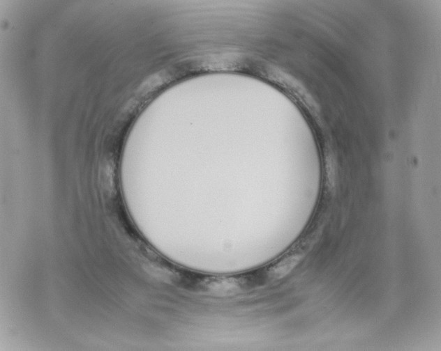 X0000070380113200607072204