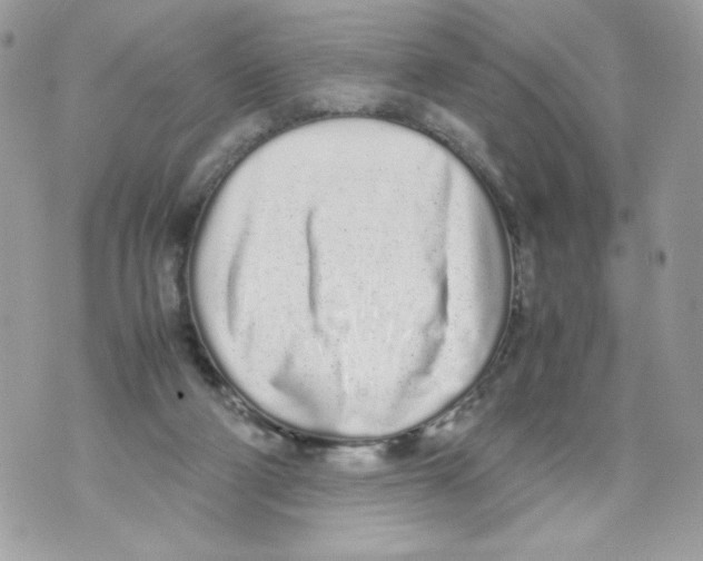 X0000070380114200607072204