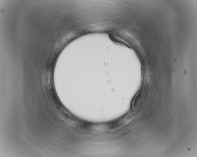 X0000070380115200607072204