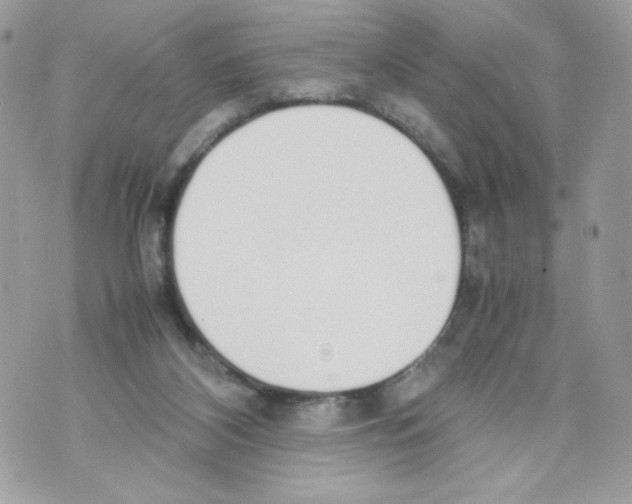 X0000070380116200607072204