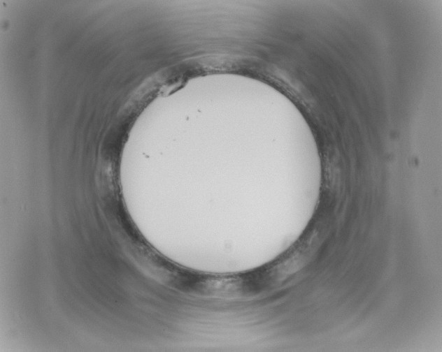 X0000070380117200607072204