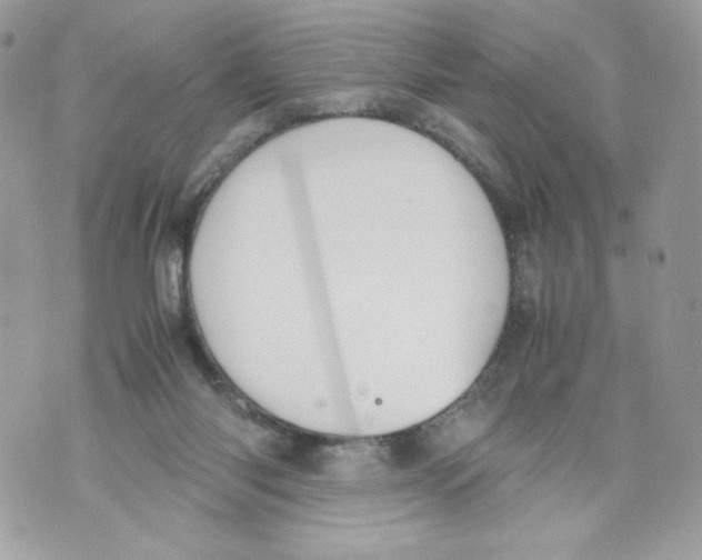 X0000070380118200607072204