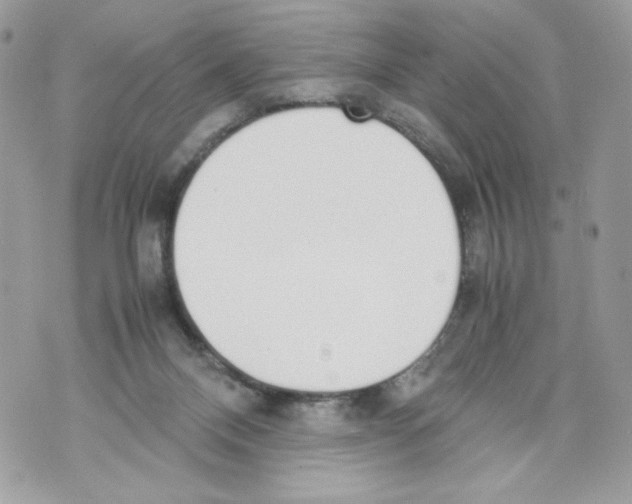 X0000070380120200607072204