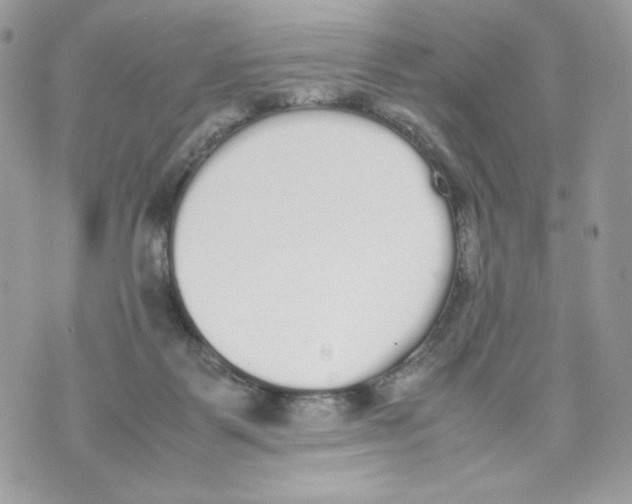 X0000070380123200607072204